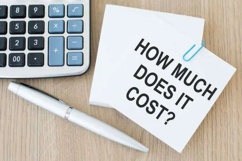 Affordable Website Design – How Much Should a Website Cost?